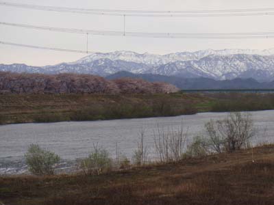 加治川治水記念公園２.jpg